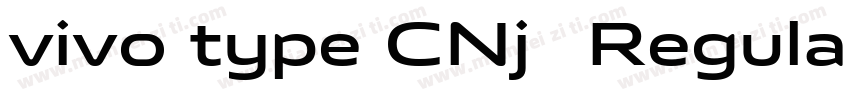 vivo type CNj简 Regular字体转换